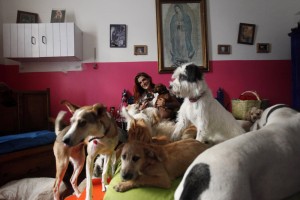 Mariam Luzcan, an advocate for dogs, poses for a photograph with her dogs and another group for adoption in Mexico City
