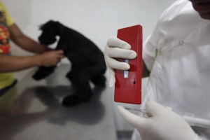 A veterinary doctor prepares a scanner and microchip before implanting the chip into a dog in Mexico City