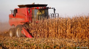 The Heartland Enters Harvest Season