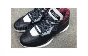 d wade shoe