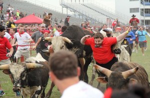 bull run
