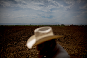 farmers