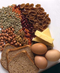 protein