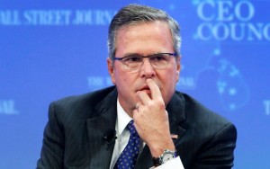 jeb bush