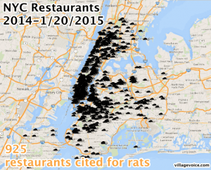 rats nyc