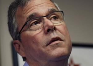 jeb bush support