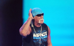 hogan nigga