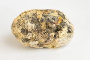 whale vomit