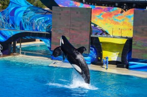seaworld
