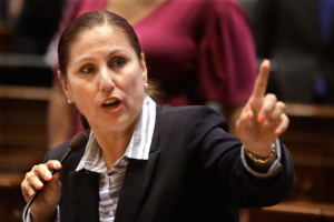 illinois rep