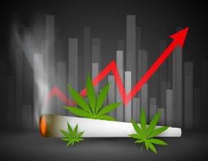 invest weed