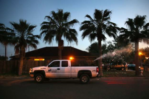 texas zika
