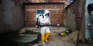 zika oral