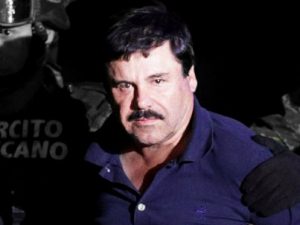 EL chapo
