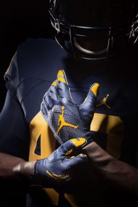 jordan michigan 4