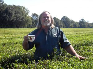 tea plantation 2