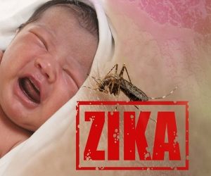 zika pr
