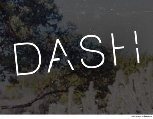 dash-sued