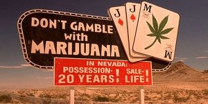 nevada-weed-2